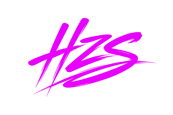 hzstech.pk logo