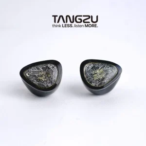 Tangzu Waner SG 2 10mm single dynamic driver in ear monitors
